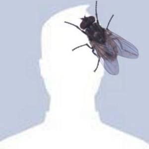 Meet your Posher, Dylan